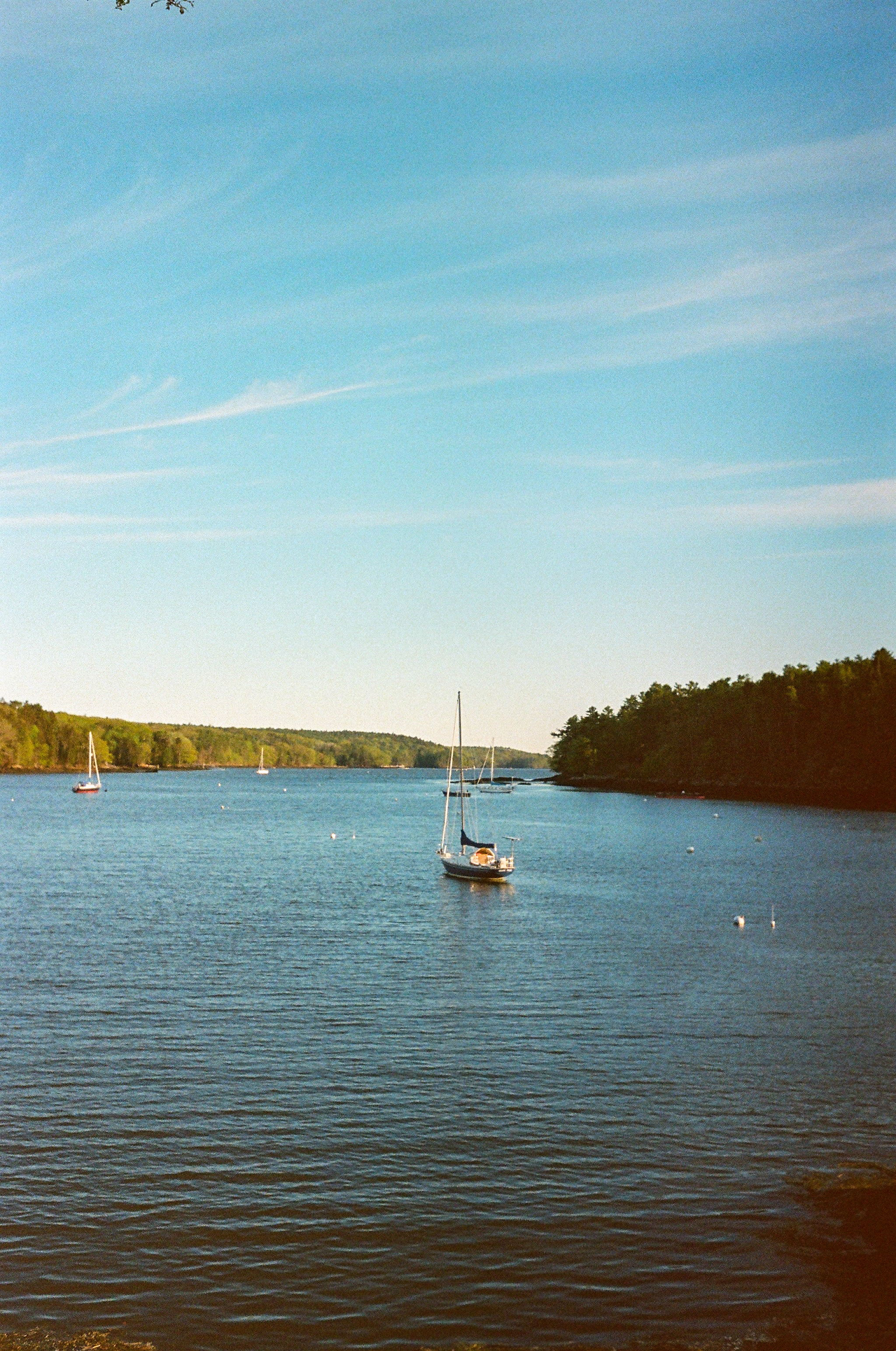 Nature Photo 1