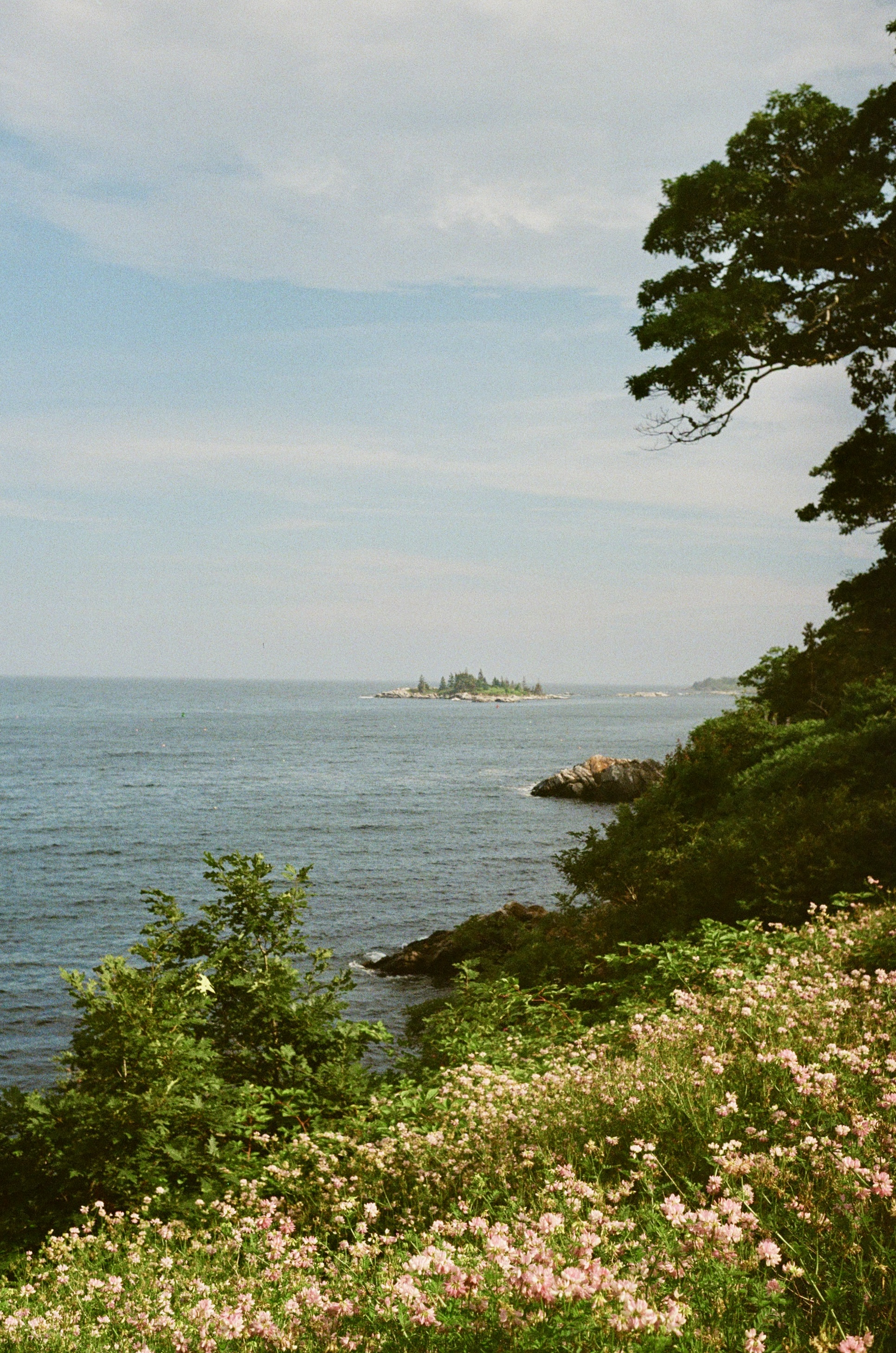 Nature Photo 14