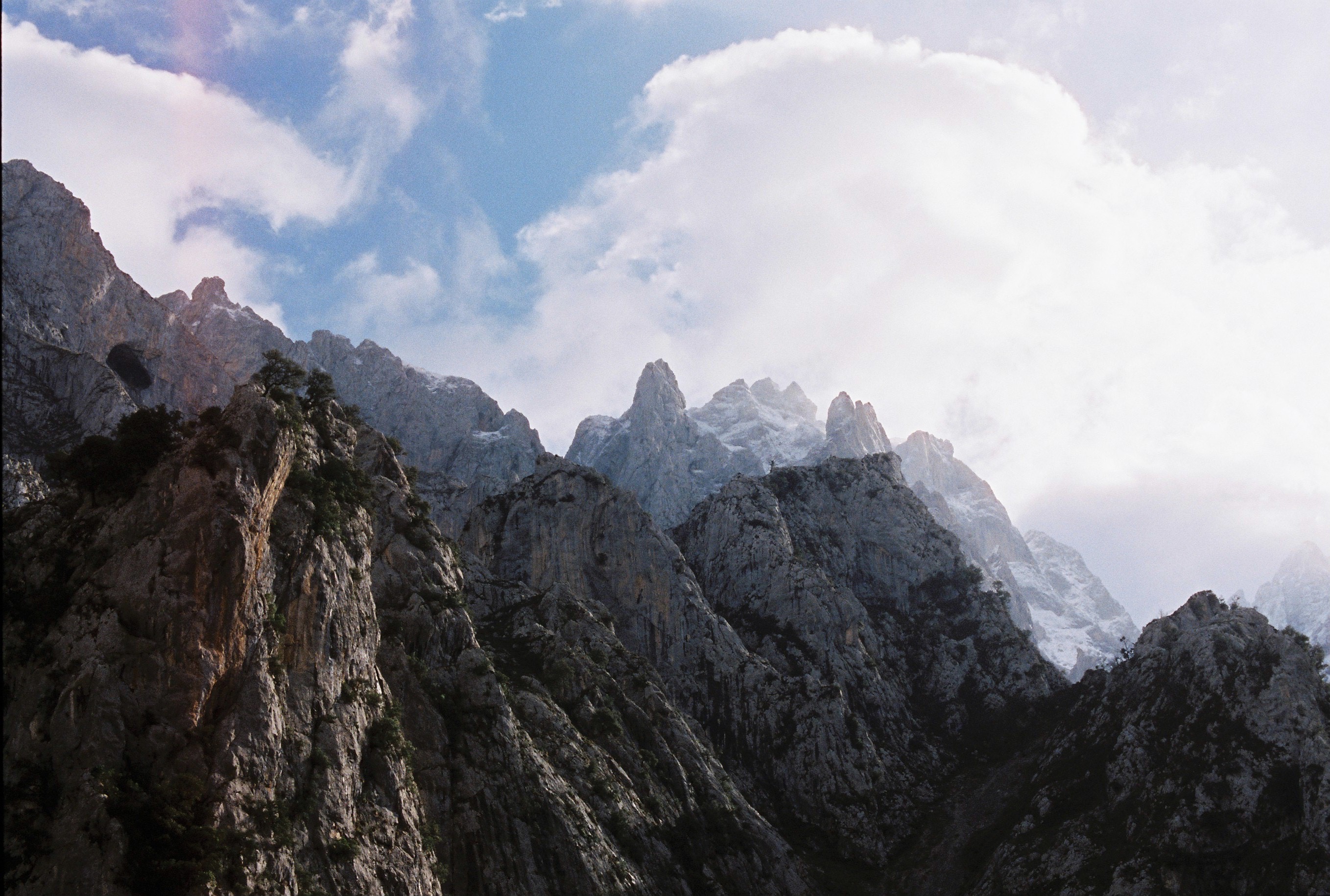 Nature Photo 15