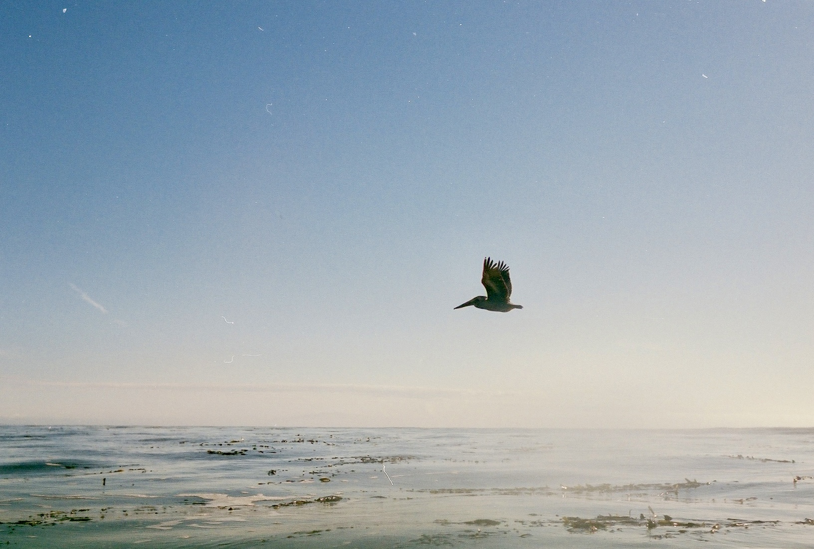 Ocean Photo 7