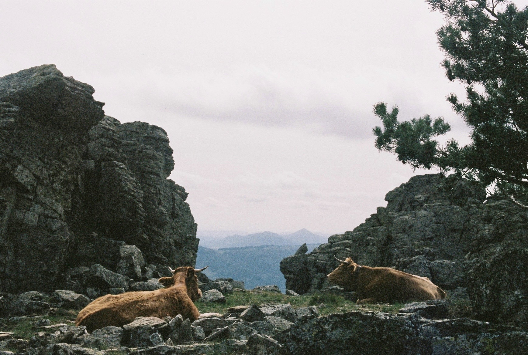 Nature Photo 10