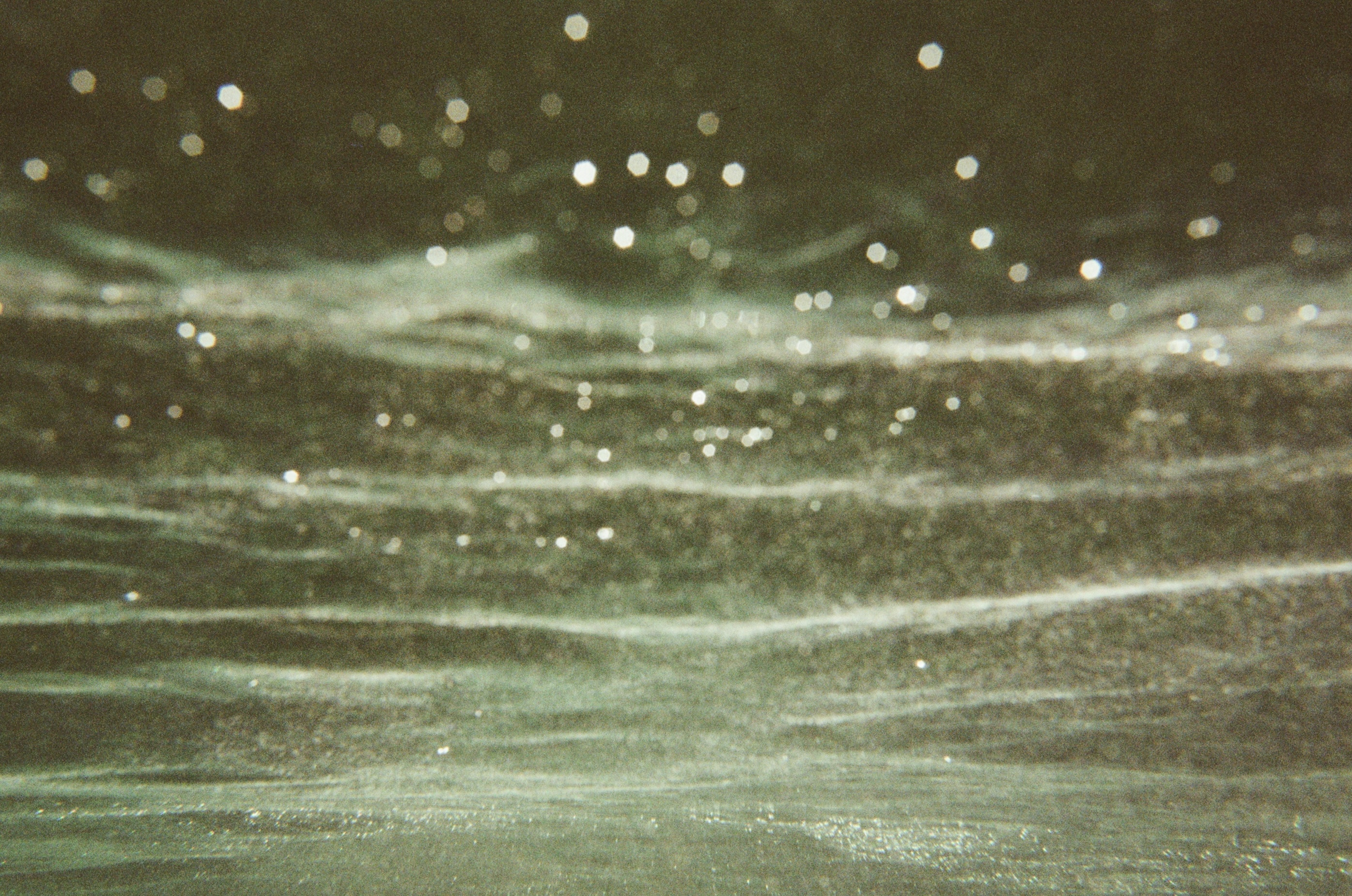 Nature Photo 9