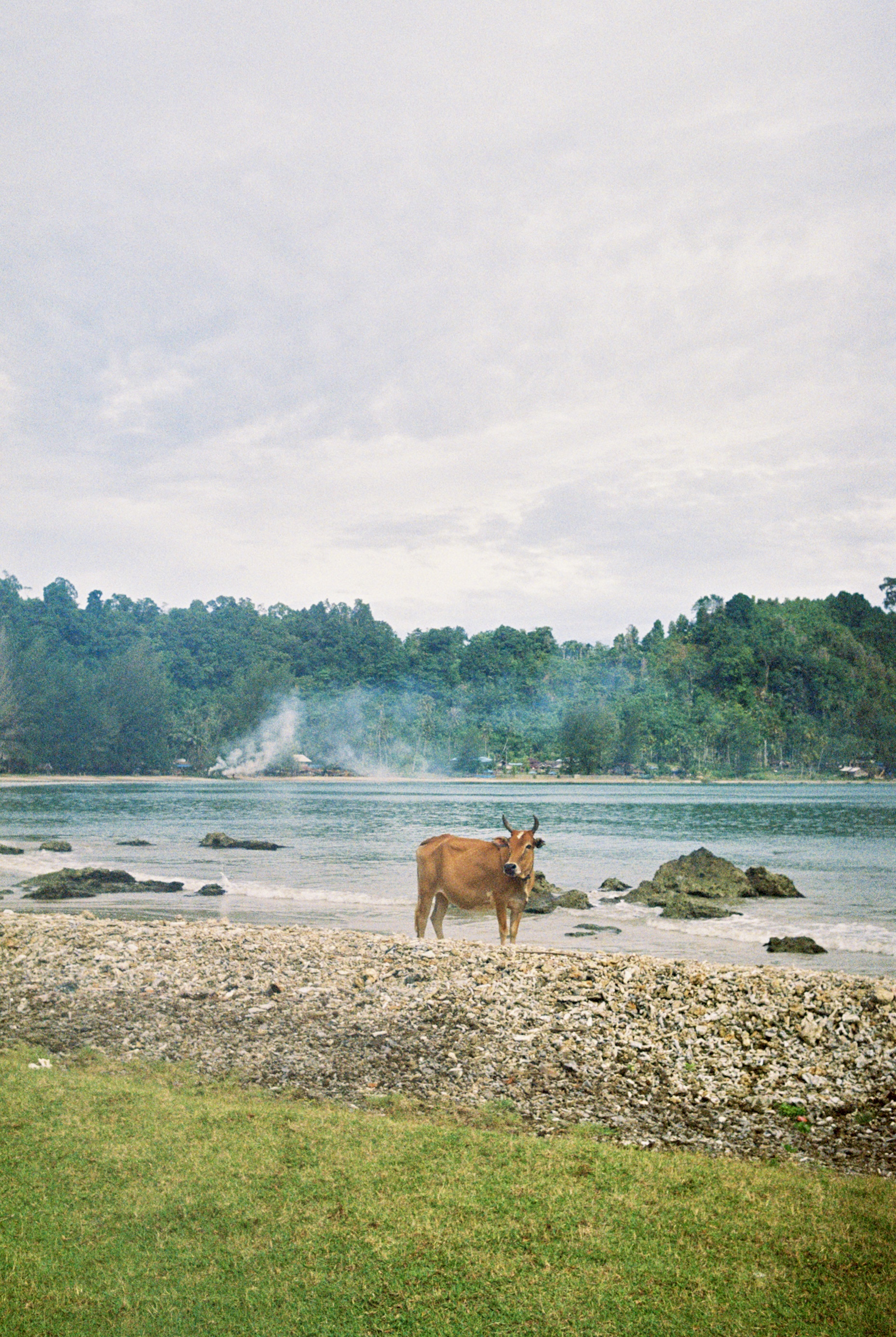 Nature Photo 4