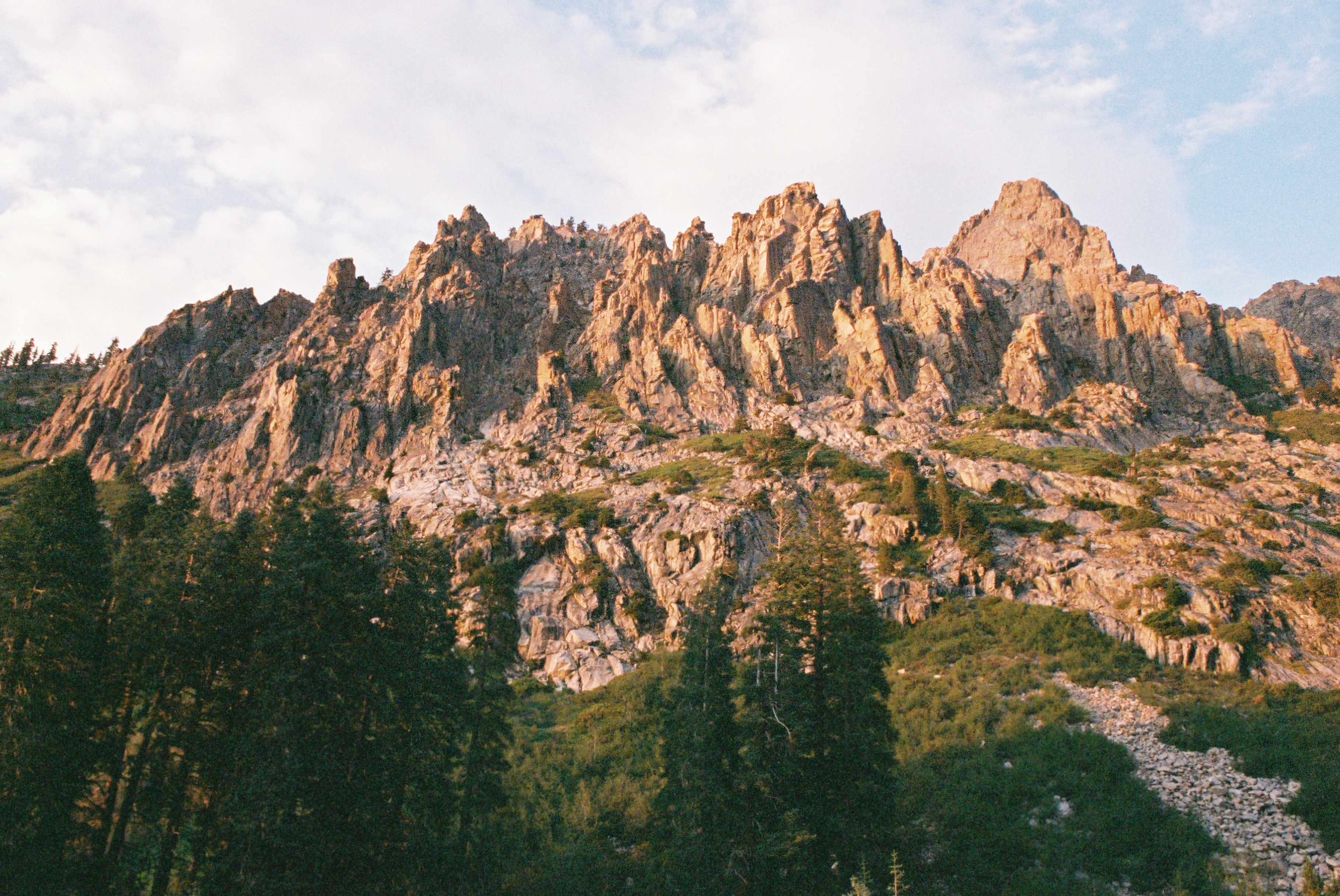 Nature Photo 2